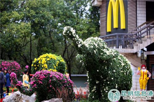 webwxgetmsgimg webwxgetmsgimg