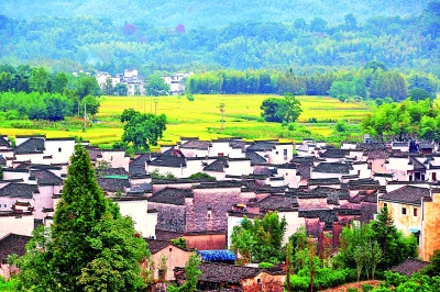 f44d305ea08b1d0e5e6507 f44d305ea08b1d0e5e6507