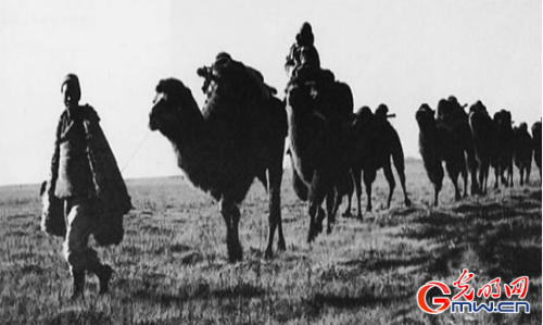 94c69122e4b71d0ea52557 94c69122e4b71d0ea52557