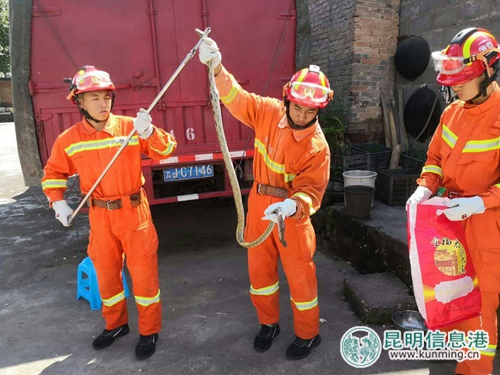 藏匿于居民家廚房內(nèi)的菜花蛇。景東消防供圖