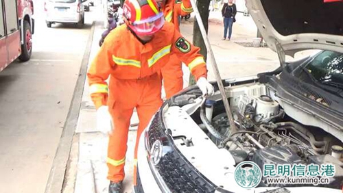 毒蛇藏身轎車引擎蓋中。思茅消防供圖