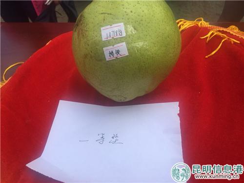 圖2：品相好、重約1.07kg的寶珠梨奪得“梨王”桂冠。