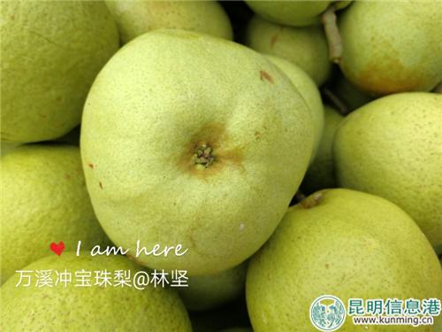 2.甜脆的寶珠梨 林堅 攝 2.甜脆的寶珠梨 林堅 攝