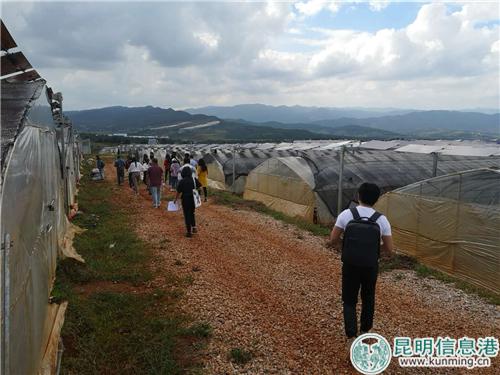 媒體團(tuán)成員探訪額秧村