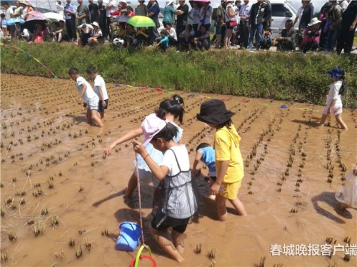 201809221644494WF1B3