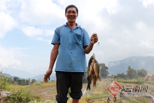 00300121427_772d9392