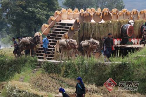 00300121429_e675ed37