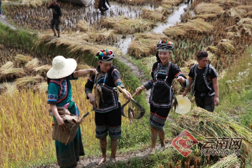 00300121431_a58d9dd1