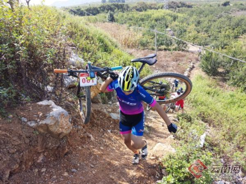 00300120999_9bd7ece1 00300120999_9bd7ece1