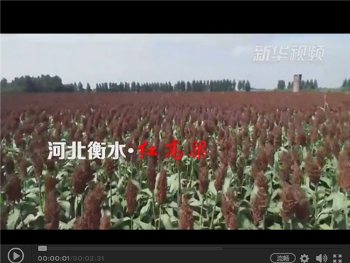 QQ圖片20180924102524