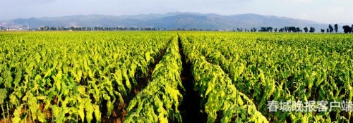 20180925073153DHGPCK 20180925073153DHGPCK