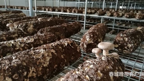 20180925073206VJ8KOC 20180925073206VJ8KOC