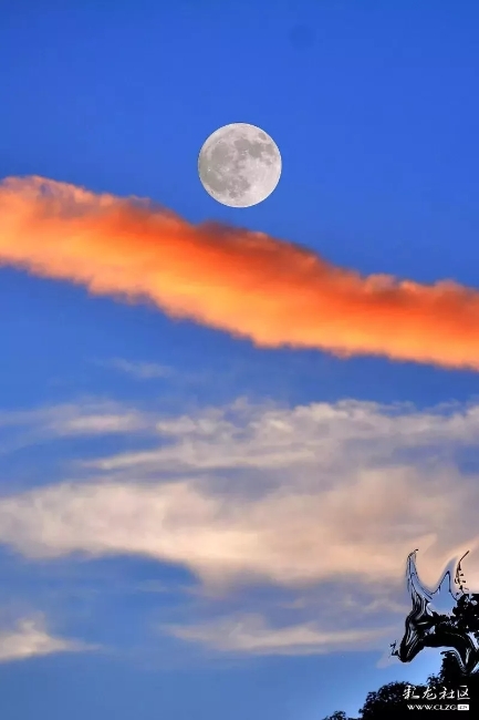 640.webp (13) 640.webp (13)