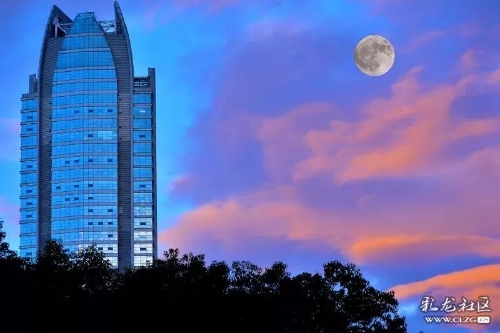 640.webp (14) 640.webp (14)