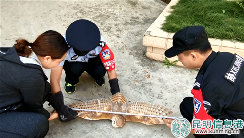 微信圖片_20180926181127 微信圖片_20180926181127