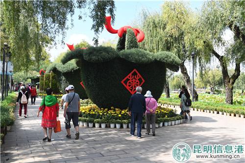 歷時一年打造的大菊花籃。昆明日報記者楊艷輝攝