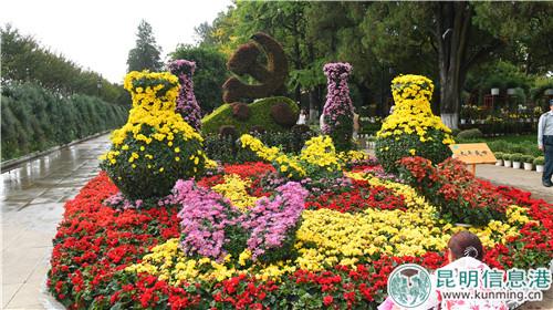 菊花造景。昆明日報記者楊艷輝攝