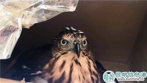 微信圖片_20180927175250