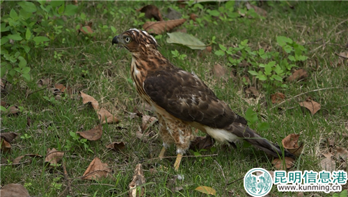 微信圖片_20180927175247