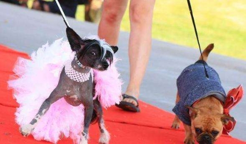 00300127045_21cabb4e 00300127045_21cabb4e