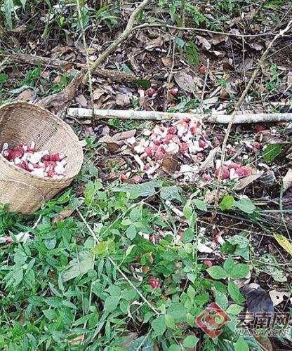 00300127211_be02b4b6 00300127211_be02b4b6