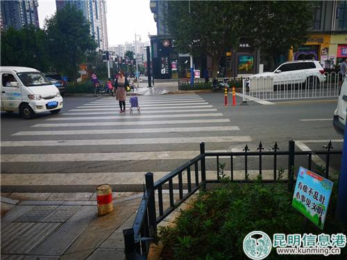 各行其道，機動車禮讓行人