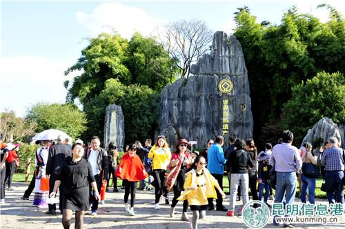 十一期間，石林推出多項活動