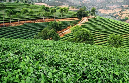 00300130253_aaa85b34 00300130253_aaa85b34