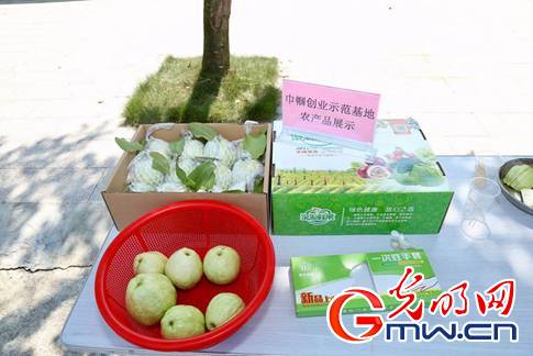 【新時(shí)代·幸福美麗新邊疆】廢棄礦坑變身生態(tài)公園 廣東茂名“綠色轉(zhuǎn)身”實(shí)現(xiàn)富民強(qiáng)產(chǎn) 【新時(shí)代·幸福美麗新邊疆】廢棄礦坑變身生態(tài)公園 廣東茂名“綠色轉(zhuǎn)身”實(shí)現(xiàn)富民強(qiáng)產(chǎn)