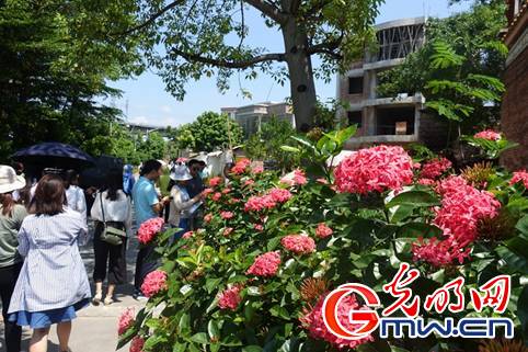 【新時(shí)代·幸福美麗新邊疆】廢棄礦坑變身生態(tài)公園 廣東茂名“綠色轉(zhuǎn)身”實(shí)現(xiàn)富民強(qiáng)產(chǎn) 【新時(shí)代·幸福美麗新邊疆】廢棄礦坑變身生態(tài)公園 廣東茂名“綠色轉(zhuǎn)身”實(shí)現(xiàn)富民強(qiáng)產(chǎn)