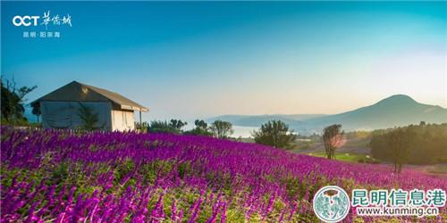 微信圖片_20180930173303