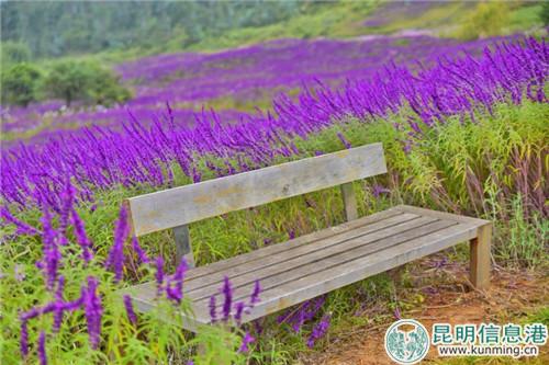 微信圖片_20180930173307