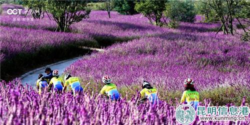 微信圖片_20180930173315