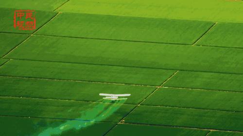 點(diǎn)擊進(jìn)入下一頁