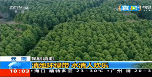 QQ截圖20181006144341