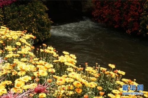 201810071601438CWG9A