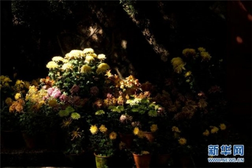 20181007160143LVIVN2