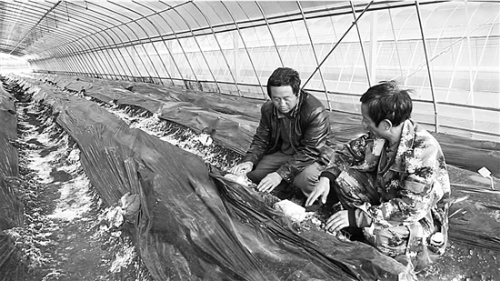 20181008A03_res03_attpic_brief 20181008A03_res03_attpic_brief