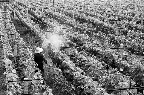 20181008A03_res07_attpic_brief 20181008A03_res07_attpic_brief