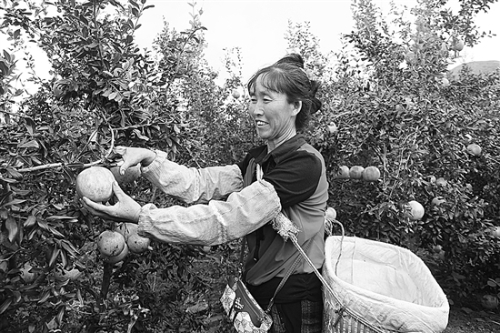 20181008A03_res11_attpic_brief (1) 20181008A03_res11_attpic_brief (1)