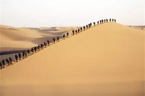 640.webp (11) 640.webp (11)