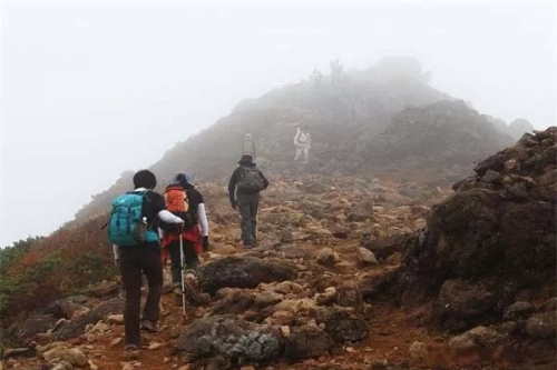 640.webp (12) 640.webp (12)