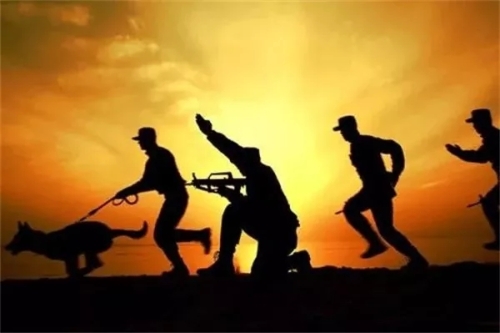 640.webp (22) 640.webp (22)