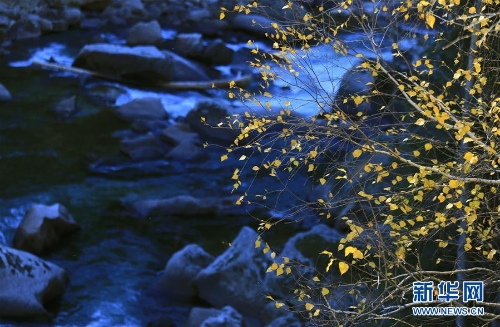 f44d30758a2f1d2640901b