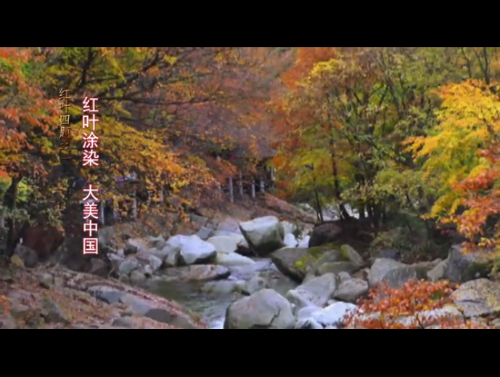 QQ截圖20181011093539