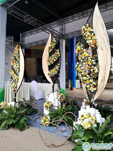 農(nóng)業(yè)博覽會斗南分會場9