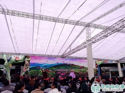 農(nóng)業(yè)博覽會斗南分會場1