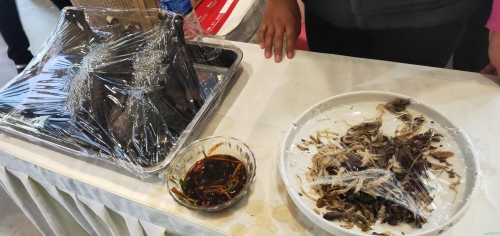 供觀展市民品嘗的柴氏手撕雞 供觀展市民品嘗的柴氏手撕雞