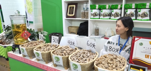 優(yōu)質(zhì)農(nóng)產(chǎn)品三七展示 優(yōu)質(zhì)農(nóng)產(chǎn)品三七展示