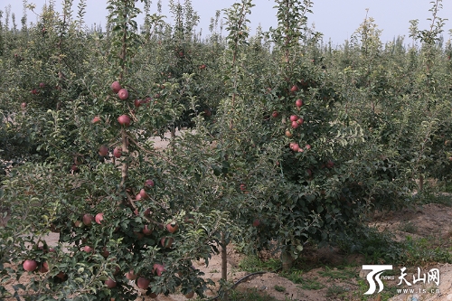 00350520971_a40763e2 00350520971_a40763e2